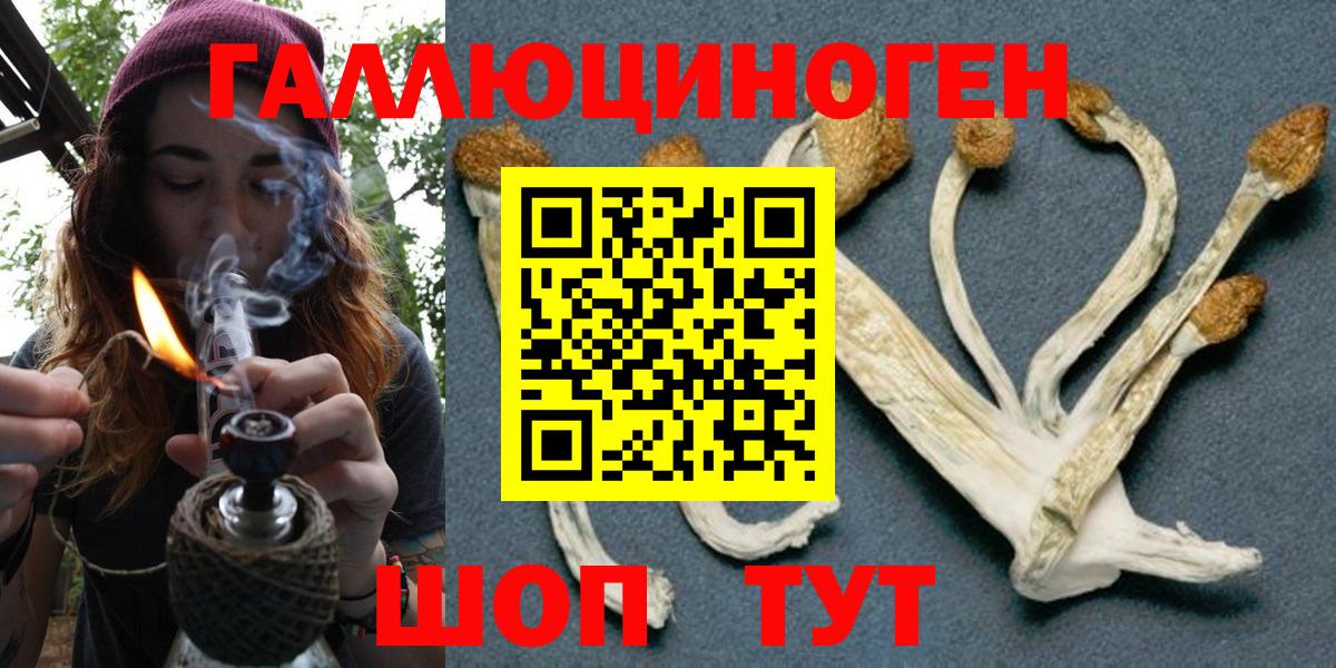 Галлюциногенные грибы Psilocybe Спасск-Дальний