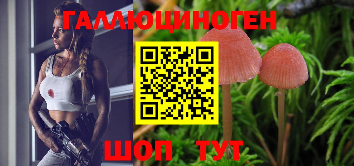 где продают   Псилоцибиновые грибы ЛСД  Галлюциногенные грибы Psilocybe  Вход с VPN  Спасск-Дальний 